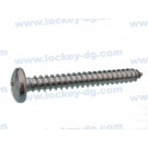 A2 Pan Head Self Tapping Screw