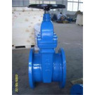 API Standard Non-Rising Stem Gate Valve