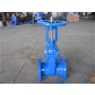 API Standard Rising Stem Gate Valve
