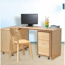 Bamboo Desk and Chair Bamboo Office Furniture