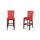 Bar Stool (TCS0911)