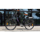 Beautiful En15194 250W Woman Electric Bicycle China for Sale