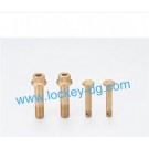 Brass Hex Bolt