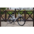 Buy Chinese Electric Bike in China for Sale in European Country