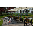 Buy Low Price High Quality 250W Woman Electric City Bike in China