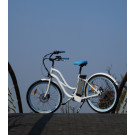 CE Approved 36V 250W Green Power City Electric Charging Bikes for Sale
