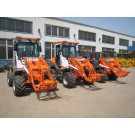 CE Approved Multi-Function Small Loader (HQ910J)