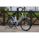 CE En 15194 36V 250W Green Power City E Bike