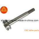 CNC Machining Machined Rivets Screw Bolt Parts (SX142)