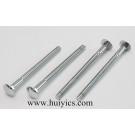 Carriage Bolts with High Quality