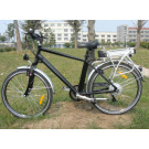 China Made 36V 250W Cheap Adult Electric Bicycle