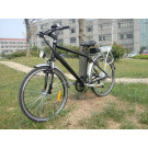 Classic 36V 250W Cheap Electric Dirt Bike for Sale