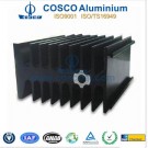 Customized Black Anodized Aluminum/Aluminium Radiator (REACH 155)