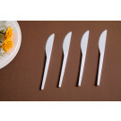 Cutlery Disposable Cutlery Plastic Cutlery