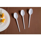 Cutlery Plastic Cutlery Plastic Spoon PS Cutlery Disposable Cutlery