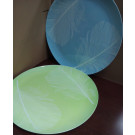 Daily Use Dinnerware Eco-Friendly Plate (TS2031)
