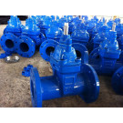 Dn100 Dark Rod Sealing German Standard F5 Gate Valve
