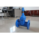 Dn100German Standard F5 Dark Rod Sealing Gate Valve