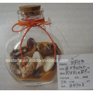 Drift Glass Bottle Wooden Decoration Marine Gifts (DF113)