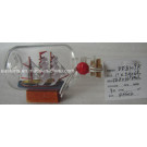 Drift Glass Bottle Wooden Decoration Marine Gifts (DF8109K)