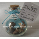 Drift Glass Bottle Wooden Decoration Marine Gifts (FS1121)