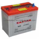 Dry Charged Car Battery NS60