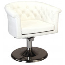 Elegant Salon Styling Chairs for Barber Shop (MY-007-49)