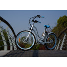 En15194 Green Power Beach Cruiser Electric Bike