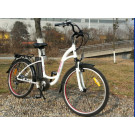 En15194 Green Power Electric Bike with Pedals for Sale