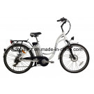 En15194 Popular Electric Bike (TDB01Z-633)