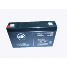 Factory Outlet! UPS Battery/AGM Battery/Lead Acid Battery 6V7ah