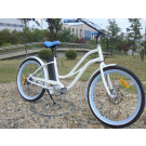 Female Style Strong 36V 300W Electric Bike China for Sale