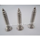 Flat Head Undercut Self Tapping Screw