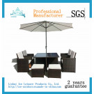 Garden Furniture Outdoor Furniture Dining Set Dining Chair (FD-011e)