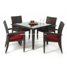Garden Furniture, Rattan Table and Chair (PAD-006)