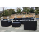Garden Patio Outdoor Wicker Rattan Sofa Set (PAS-051)