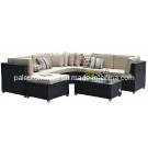 Garden Patio Wicker Rattan Outdoor Furniture (PAS-052)