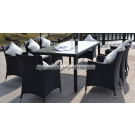 Garden Rattan Dining Table and Chair (PAD-004B)