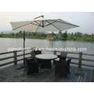 Garden Rattan Furniture / Dining Table and Chair (PAD-1101B)