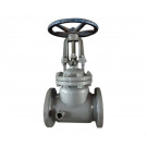 Globe Valve Z41h-16c