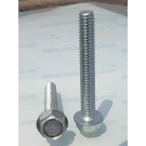 Hex Head with Flange Bolt Hex Head with Flange Screw