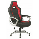 High Back Ergonomic Racing Office Chair (Fs-8728)