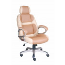 High Back Office Chair (FS-8710)