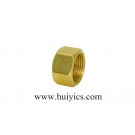 High-Quality Hex Nut with Copper (HY-J-C-126)