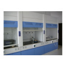 High Quality Laboratory Steel Fume Hood (PS-HF-010)