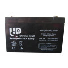Hot Offer 6V 12ah AGM Sealed Lead Acid Battery
