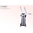 Hot Sale 9 in 1 Multifunction Beauty Equipment (F-H5001)