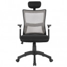 Hot Sale Modern Functional Mesh Office Chair (FS-1021H)