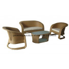 Hot Sale Rattan Outdoor Sofa Set (FP0103)