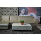 Hot Selling MDF White High Gloss Modern Coffee Table (CJ-2022A)